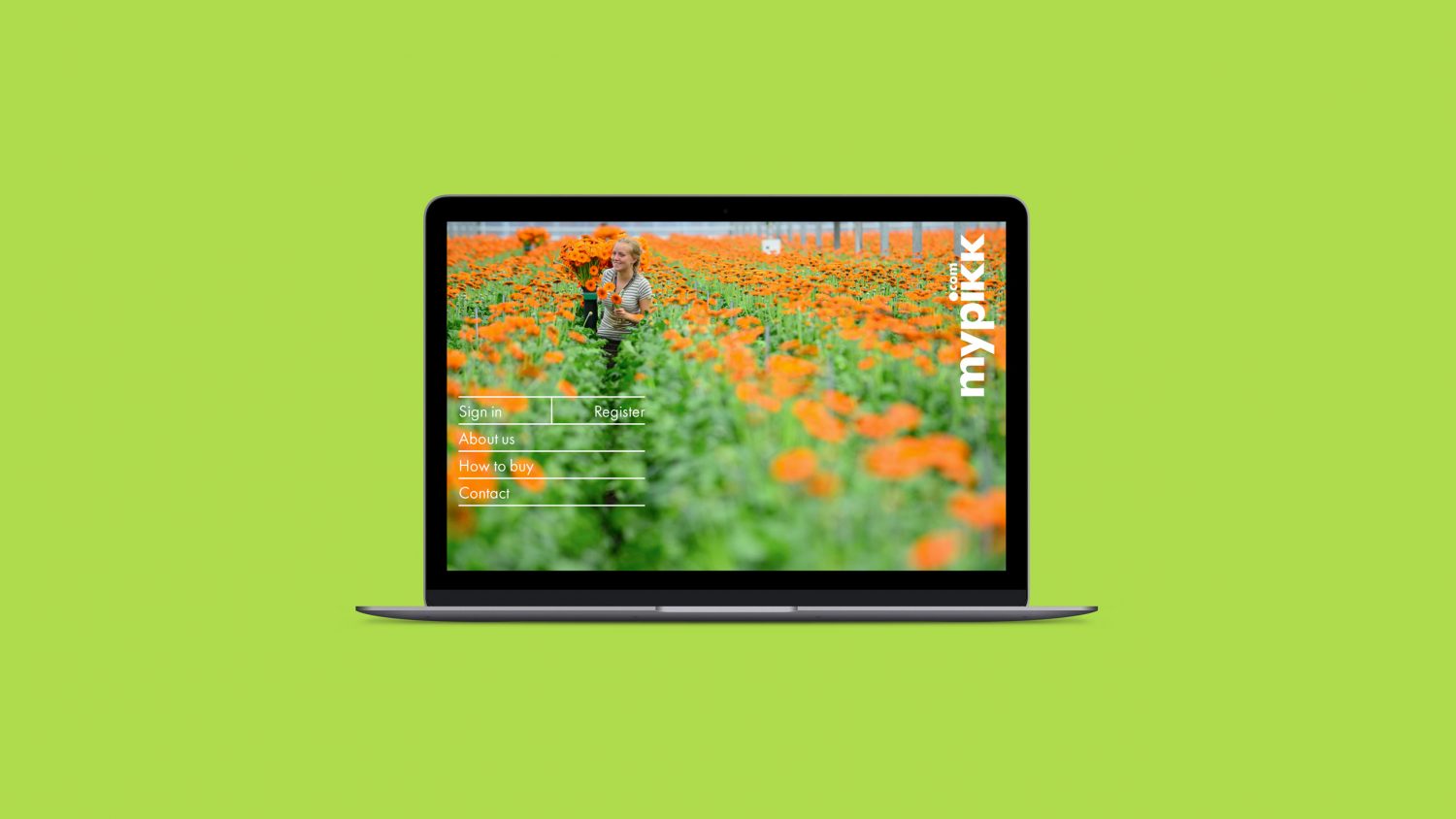 Identity Digital Brand Innovation Online Branding New Business Naming Horticulture Flowers Nature International Import Export Leeds Agency Consultants Consultancy DESIGN PROJECT