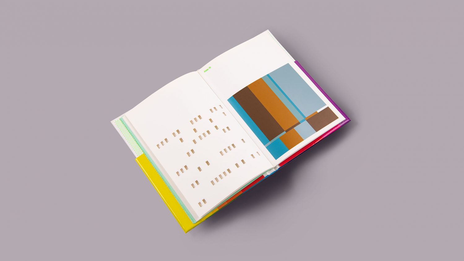 Lithographic printing, die cutting, metallic print, book design, graphic design book by Design Project