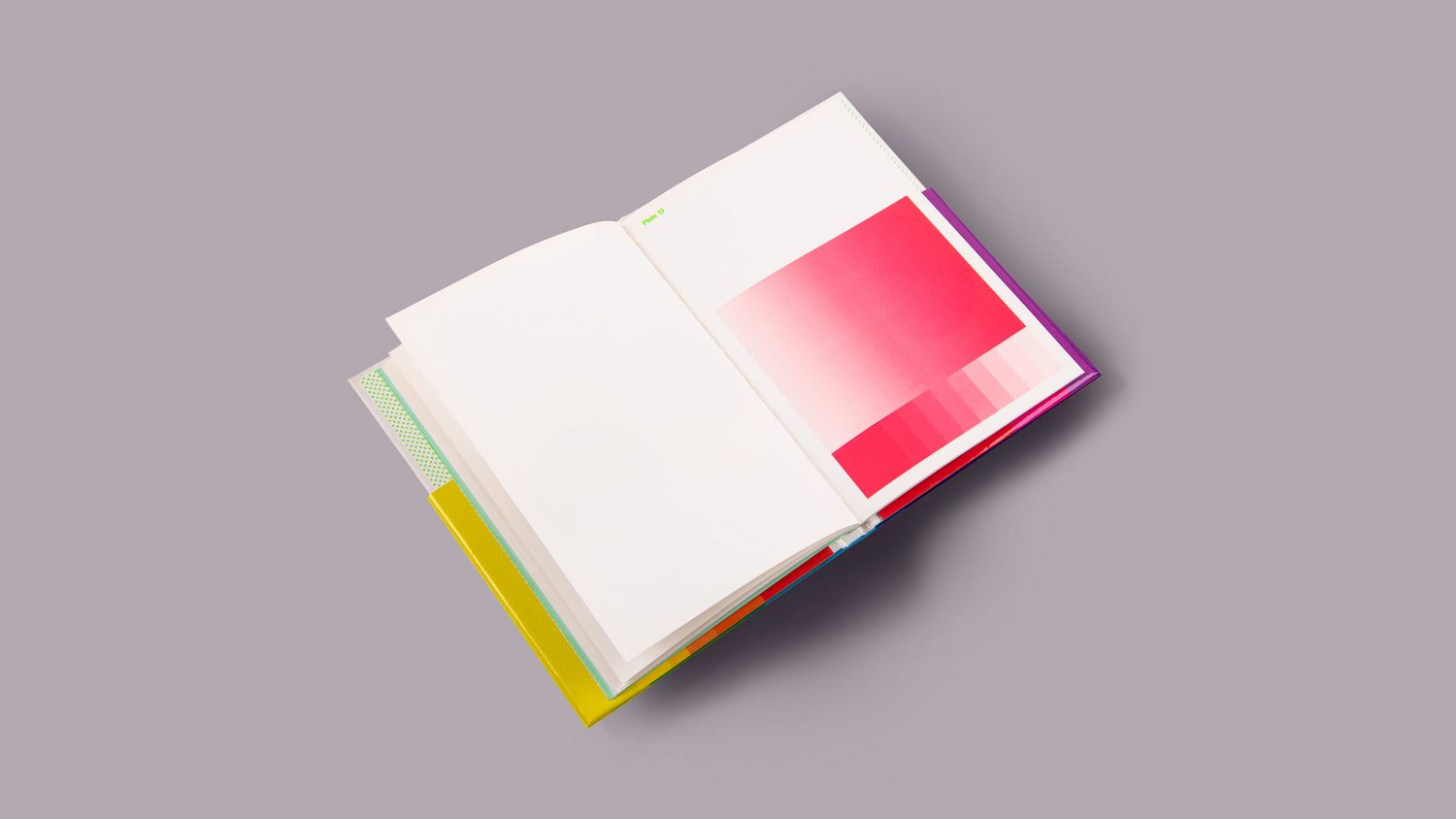 Lithographic printing, UV varnishing, fluorescent ink, book design, graphic design book, printing manual by Design Project