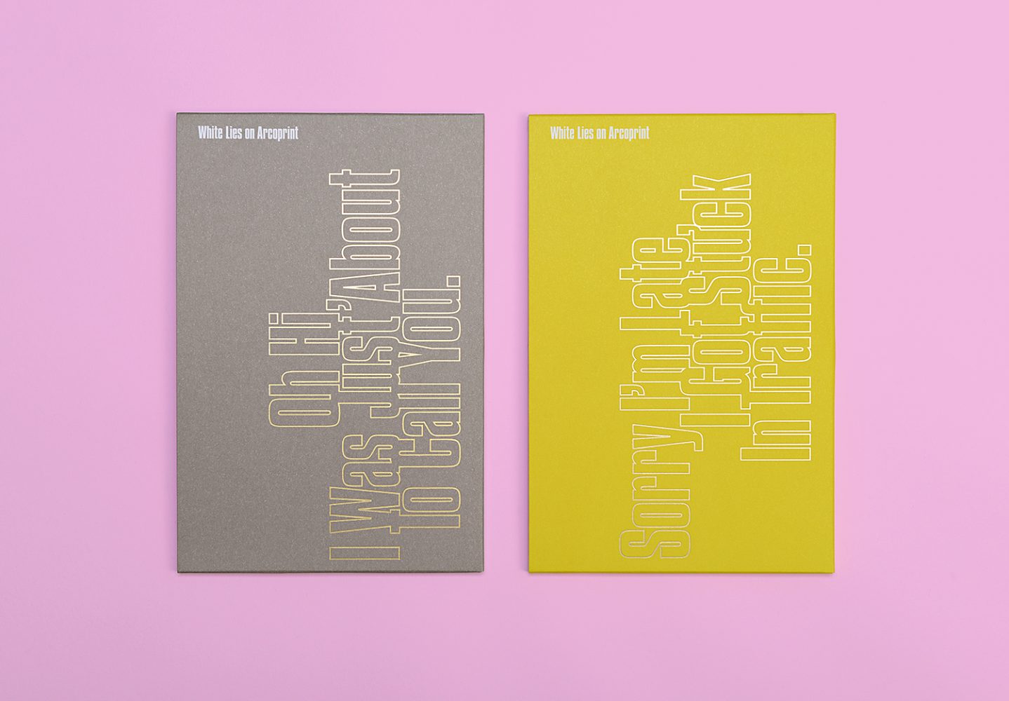 Design Project Campaign Identity Branding Promotional Literature Brochure 1