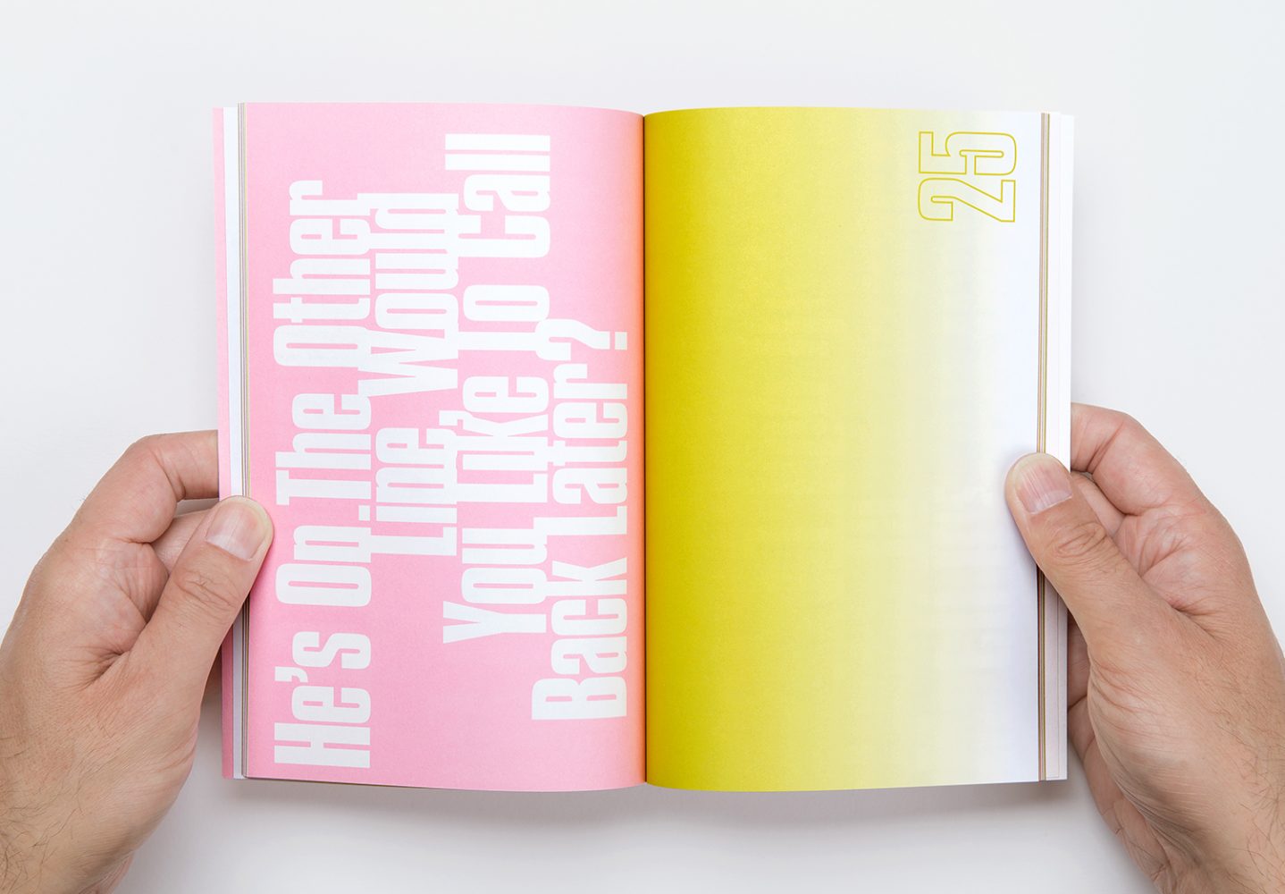 Design Project Campaign Identity Branding Promotional Literature Brochure 2