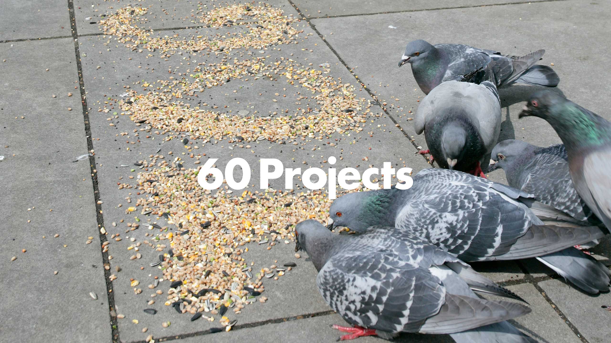 Design Project Festival Event Exhibition Branding Identity Arts Culture Marketing Campaign 3