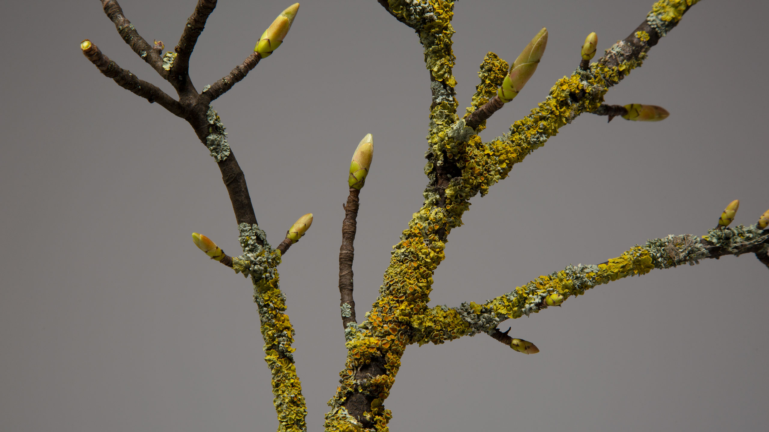 Art Direction Corporate Environmental Eco Friendly Packaging Design Marketing Promotional Campaign Branded Branding Luxury Retail E-Comms Reusable Mailing Shipping Biodegradable Responsible Sustainable Yorkshire Leeds Branding Agency 3 DESIGN PROJECT