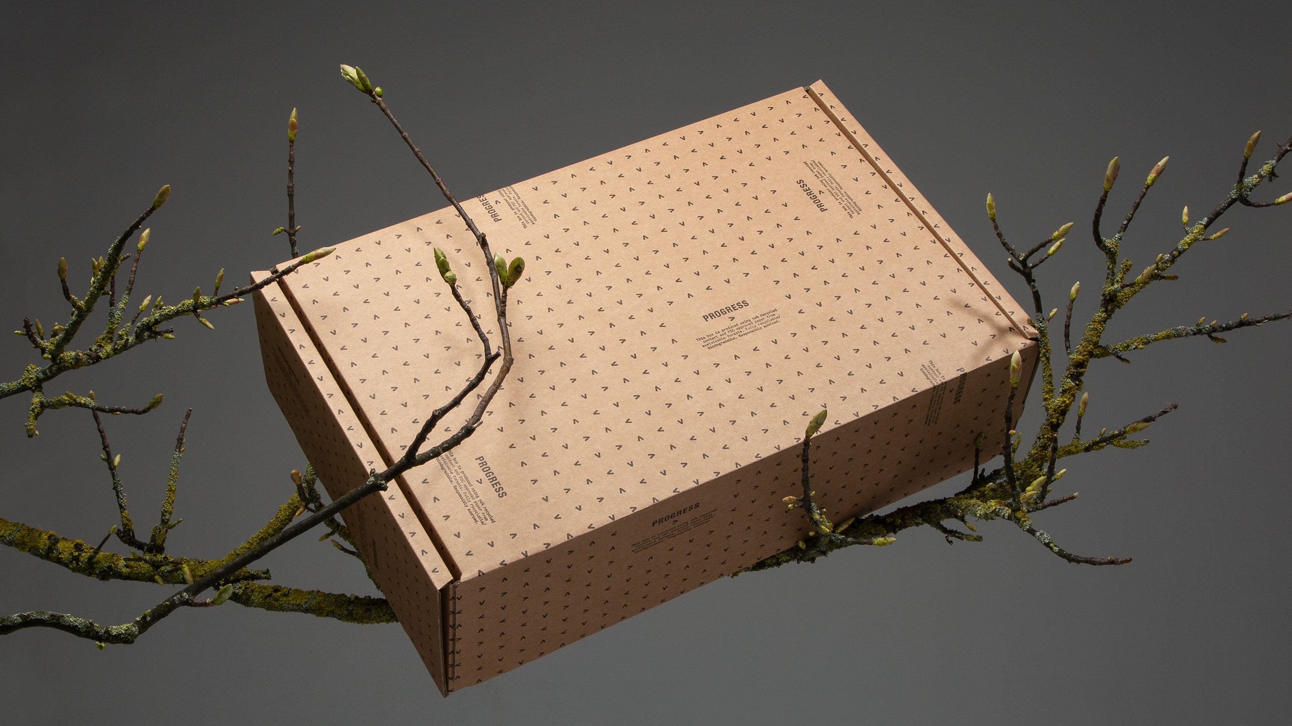 Environmental Eco Friendly Packaging Design Marketing Promotional Campaign Art Direction Branded Branding Luxury Retail E-Comms Reusable Mailing Shipping Boxes Biodegradable Responsible Sustainable Yorkshire Leeds Branding Agency DESIGN PROJECT