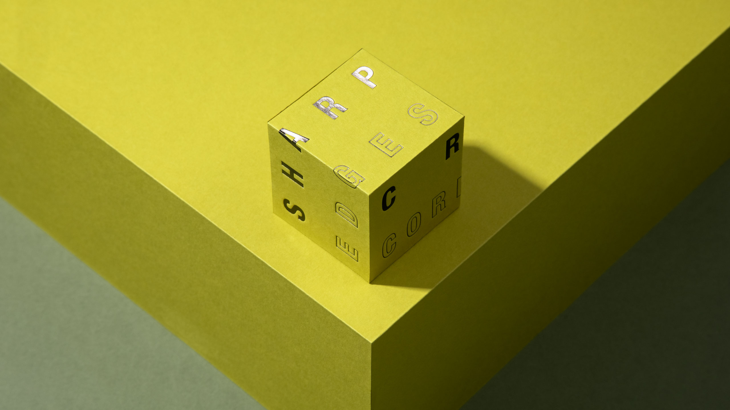Design Project Progress Packaging V Form 013