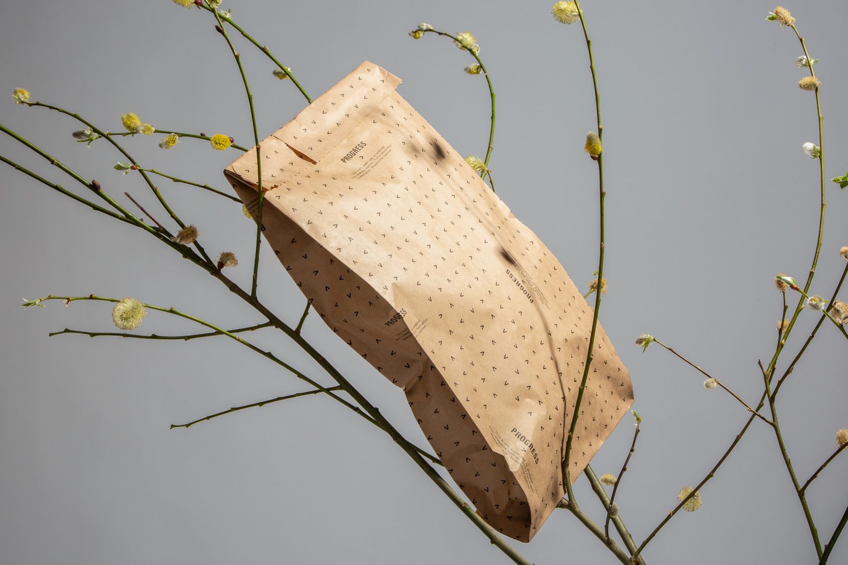 Progress Sustainability 3