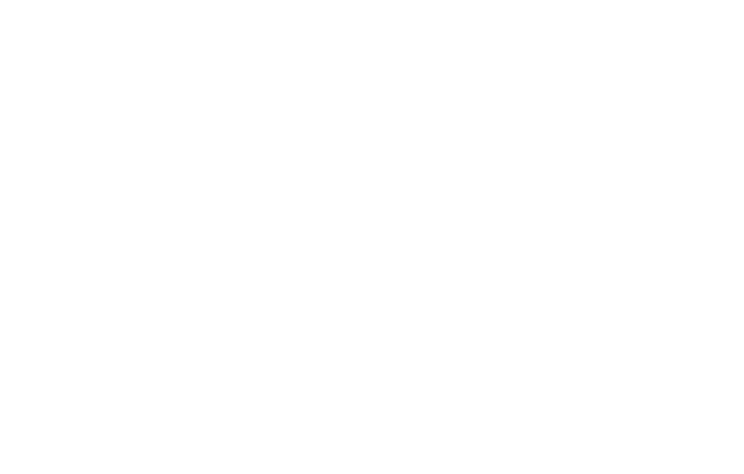Client Logo P+hs